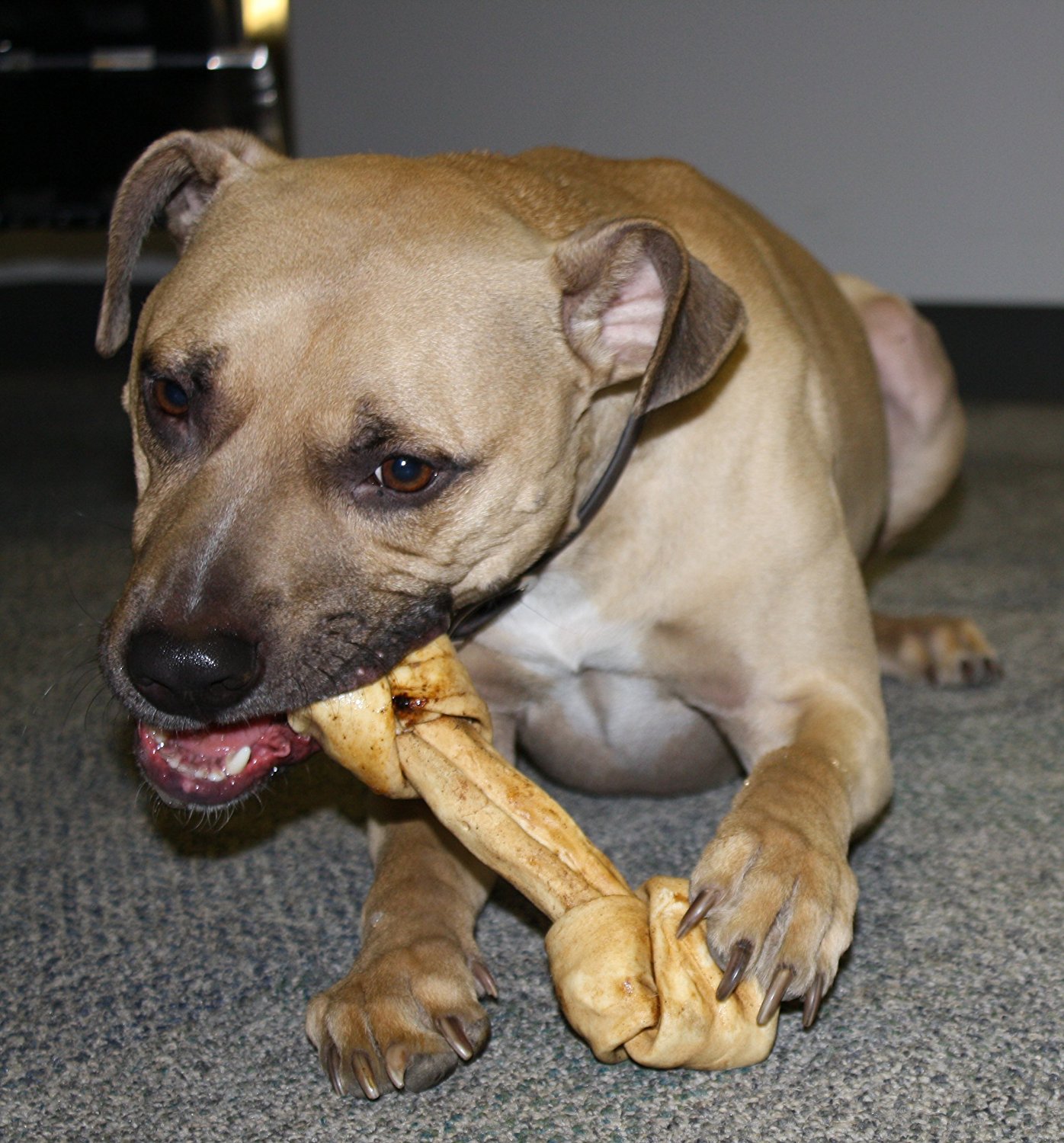 large rawhide dog bones bulk